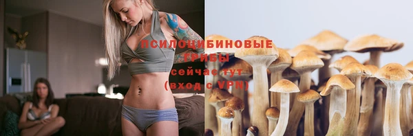 крисы Гусь-Хрустальный