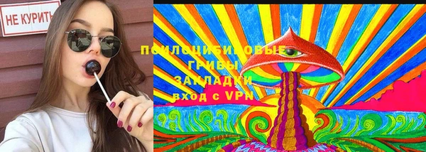 крисы Гусь-Хрустальный