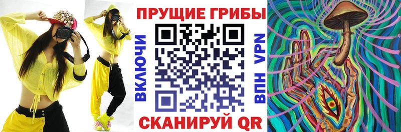 Галлюциногенные грибы Magic Shrooms  Купить  Верхнеуральск 